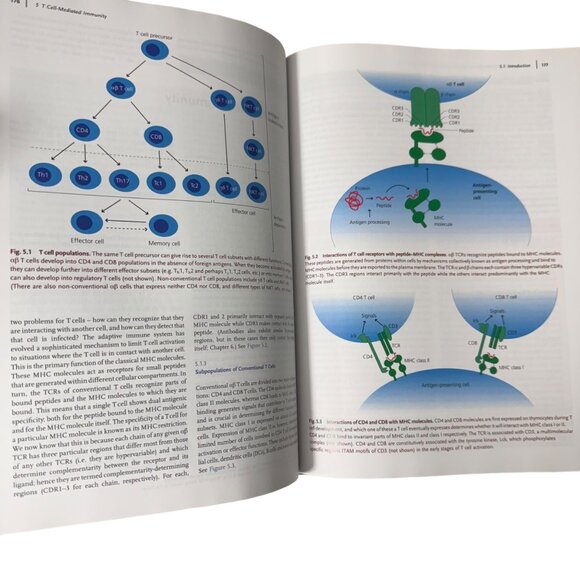Exploring Immunology Concepts And Evidence By Gordon McPherson & Jon Austyn HC - Picture 12 of 16